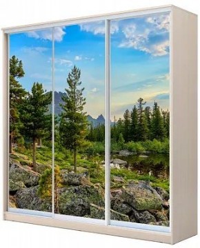 Шкаф-купе ХИТ 22-20-777 ПРИРОДА в Качканаре - kachkanar.mebel24.online | фото