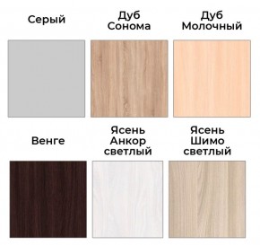 Шкаф-купе ХИТ 22-4-14-11 (420) в Качканаре - kachkanar.mebel24.online | фото 5