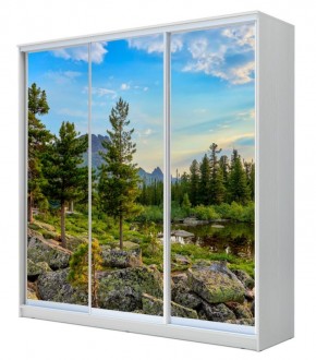 Шкаф-купе ХИТ 22-4-18-777 (420) в Качканаре - kachkanar.mebel24.online | фото 1