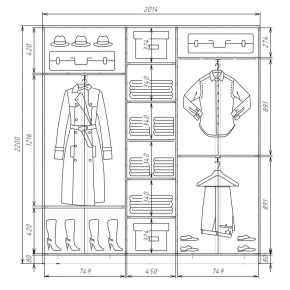 Шкаф-купе ХИТ 22-4-20-222 (420) в Качканаре - kachkanar.mebel24.online | фото 2