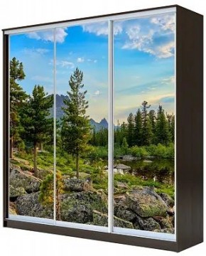 Шкаф-купе ХИТ 23-20-777 ПРИРОДА в Качканаре - kachkanar.mebel24.online | фото