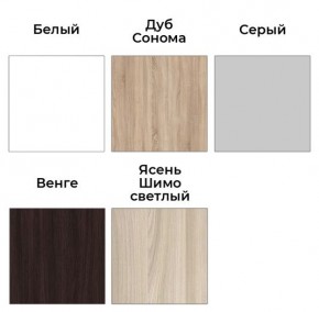 Шкаф-купе ХИТ 23-24/2-7777 (620) в Качканаре - kachkanar.mebel24.online | фото 2