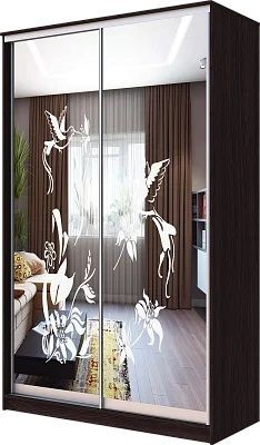 Шкаф-купе ХИТ 23-4-12/2-66 КОЛИБРИ в Качканаре - kachkanar.mebel24.online | фото