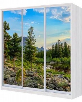 Шкаф-купе ХИТ 23-4-20/2-777 ПРИРОДА в Качканаре - kachkanar.mebel24.online | фото