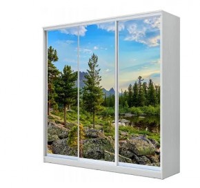 Шкаф-купе ХИТ 23-4-20-777 (420) в Качканаре - kachkanar.mebel24.online | фото