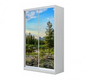 Шкаф-купе ХИТ 24-12/2-77 (620) в Качканаре - kachkanar.mebel24.online | фото