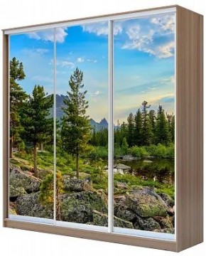 Шкаф-купе ХИТ 24-18-777 ПРИРОДА в Качканаре - kachkanar.mebel24.online | фото