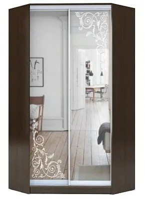 Шкаф-купе ХИТ-У-R-23-64-66 ОРНАМЕНТ в Качканаре - kachkanar.mebel24.online | фото