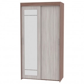 Шкаф-купе с зеркалом T-1-230х120х45-M (1-1) в Качканаре - kachkanar.mebel24.online | фото