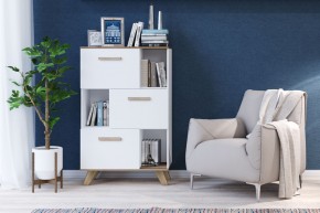 Шкаф низкий с нишами Вега Скандинавия в Качканаре - kachkanar.mebel24.online | фото 4