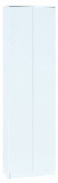 Шкаф платяной ШО-4 в Качканаре - kachkanar.mebel24.online | фото