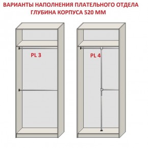 Шкаф распашной серия «ЗЕВС» (PL3/С1/PL2) в Качканаре - kachkanar.mebel24.online | фото 10