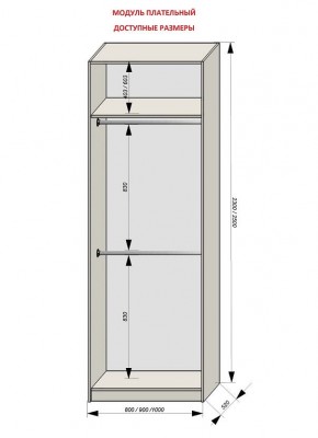 Шкаф распашной серия «ЗЕВС» (PL3/С1/PL2) в Качканаре - kachkanar.mebel24.online | фото 12