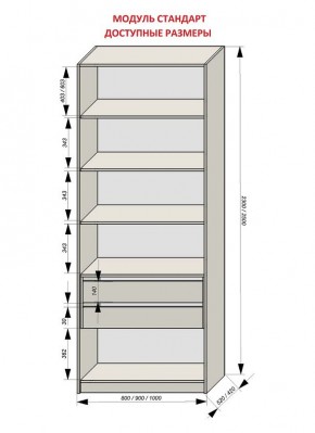 Шкаф распашной серия «ЗЕВС» (PL3/С1/PL2) в Качканаре - kachkanar.mebel24.online | фото 13