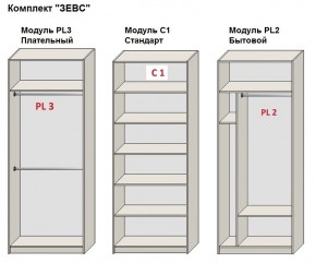 Шкаф распашной серия «ЗЕВС» (PL3/С1/PL2) в Качканаре - kachkanar.mebel24.online | фото 2