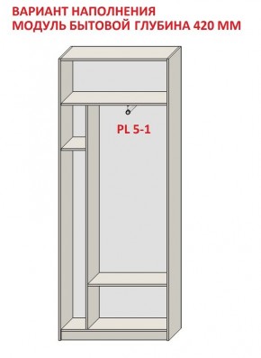 Шкаф распашной серия «ЗЕВС» (PL3/С1/PL2) в Качканаре - kachkanar.mebel24.online | фото 4