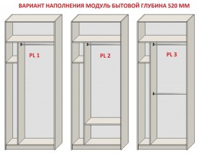 Шкаф распашной серия «ЗЕВС» (PL3/С1/PL2) в Качканаре - kachkanar.mebel24.online | фото 5