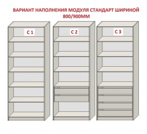 Шкаф распашной серия «ЗЕВС» (PL3/С1/PL2) в Качканаре - kachkanar.mebel24.online | фото 6