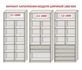 Шкаф распашной серия «ЗЕВС» (PL3/С1/PL2) в Качканаре - kachkanar.mebel24.online | фото 7