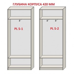 Шкаф распашной серия «ЗЕВС» (PL3/С1/PL2) в Качканаре - kachkanar.mebel24.online | фото 8