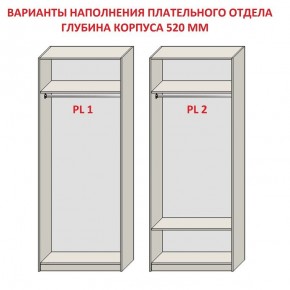 Шкаф распашной серия «ЗЕВС» (PL3/С1/PL2) в Качканаре - kachkanar.mebel24.online | фото 9