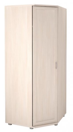 Шкаф угловой для одежды Ника-Люкс 30 без зеркал в Качканаре - kachkanar.mebel24.online | фото 2