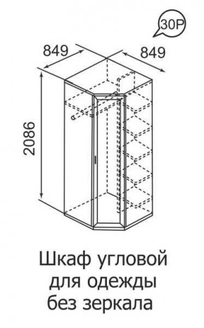 Шкаф угловой для одежды Ника-Люкс 30 без зеркал в Качканаре - kachkanar.mebel24.online | фото 3