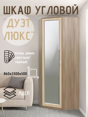 Шкаф угловой Дуэт Люкс с зеркалом в Качканаре - kachkanar.mebel24.online | фото 3