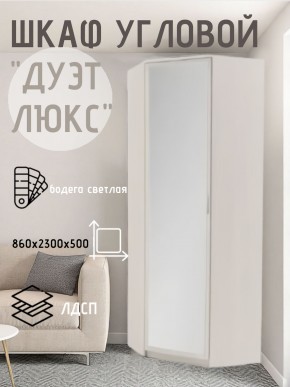 Шкаф угловой Дуэт Люкс с зеркалом в Качканаре - kachkanar.mebel24.online | фото 6