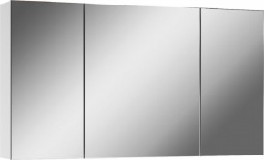 Шкаф-зеркало Мечта 100 АЙСБЕРГ (DM2322HZ) в Качканаре - kachkanar.mebel24.online | фото 1