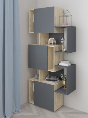 Стеллаж Дублин в Качканаре - kachkanar.mebel24.online | фото 2