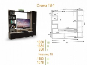 Стенка для гостиной ТВ-1 в Качканаре - kachkanar.mebel24.online | фото 2