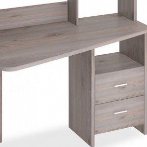 Стол компьютерный Домино Лайт СКЛ-Трап120+НКЛ-120 в Качканаре - kachkanar.mebel24.online | фото 2