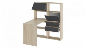 Стол компьютерный Тип 7 в Качканаре - kachkanar.mebel24.online | фото 2
