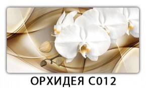 Стол раздвижной Трилогия с фотопечатью Доска D112 в Качканаре - kachkanar.mebel24.online | фото 13