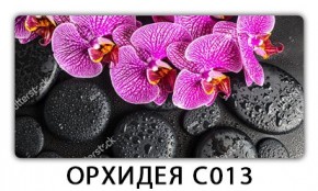 Стол раздвижной Трилогия с фотопечатью Доска D112 в Качканаре - kachkanar.mebel24.online | фото 14