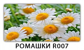 Стол раздвижной Трилогия с фотопечатью Доска D112 в Качканаре - kachkanar.mebel24.online | фото 15
