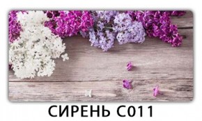 Стол раздвижной Трилогия с фотопечатью Доска D112 в Качканаре - kachkanar.mebel24.online | фото 16
