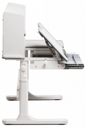 Стол учебный FIORE II в Качканаре - kachkanar.mebel24.online | фото 3