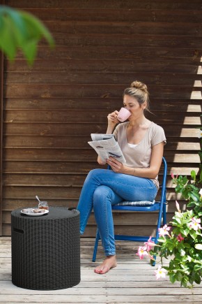 Столик-холодильник Кул-Стул (Cool stool) коричневый в Качканаре - kachkanar.mebel24.online | фото 2
