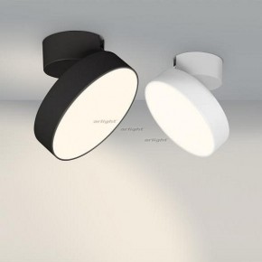 Светильник на штанге Arlight SP-RONDO-FLAP-R210-20W Day4000 (BK, 110 deg) 026453 в Качканаре - kachkanar.mebel24.online | фото 3