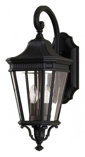 Светильник на штанге Feiss Cotswold Lane FE-COTSLN2-M-BK в Качканаре - kachkanar.mebel24.online | фото