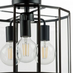 Светильник на штанге Lightstar Genni 798237 в Качканаре - kachkanar.mebel24.online | фото 4