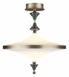 Светильник на штанге Odeon Light Ula 5404/43CL в Качканаре - kachkanar.mebel24.online | фото 2