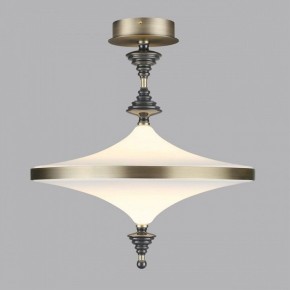 Светильник на штанге Odeon Light Ula 5404/43CL в Качканаре - kachkanar.mebel24.online | фото 3