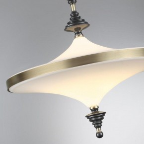 Светильник на штанге Odeon Light Ula 5404/43CL в Качканаре - kachkanar.mebel24.online | фото 6