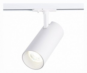 Светильник на штанге ST-Luce Mono ST350.536.30.36 в Качканаре - kachkanar.mebel24.online | фото 2