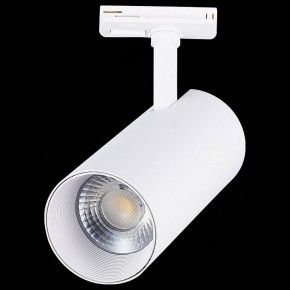 Светильник на штанге ST-Luce Mono ST350.536.30.36 в Качканаре - kachkanar.mebel24.online | фото 6