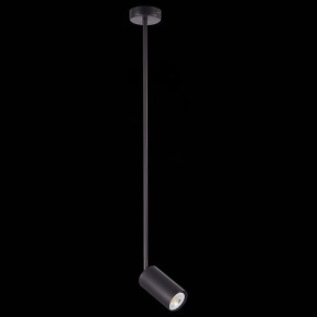 Светильник на штанге ST-Luce Sormano SL1206.403.01 в Качканаре - kachkanar.mebel24.online | фото 4