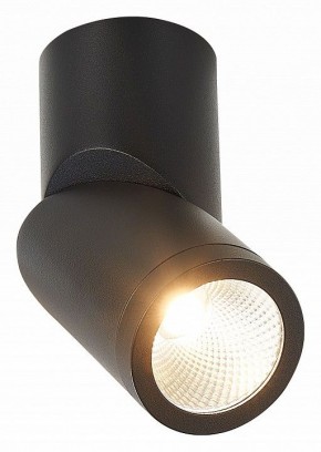 Светильник на штанге ST-Luce ST650 ST650.442.10 в Качканаре - kachkanar.mebel24.online | фото 2